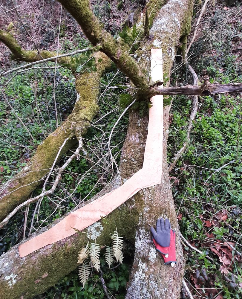 Recherche des bois tords à l'aide des gabarits réalisés à l'échelle 1/1.