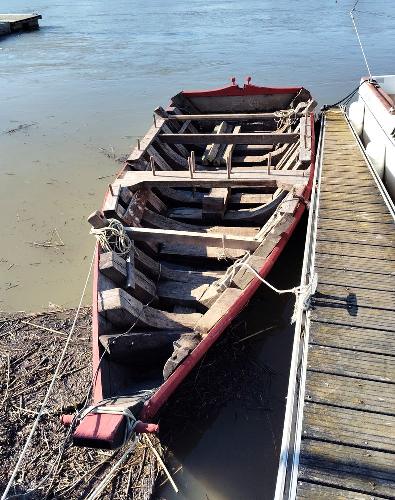 La Mona de nouveau dans son élément.