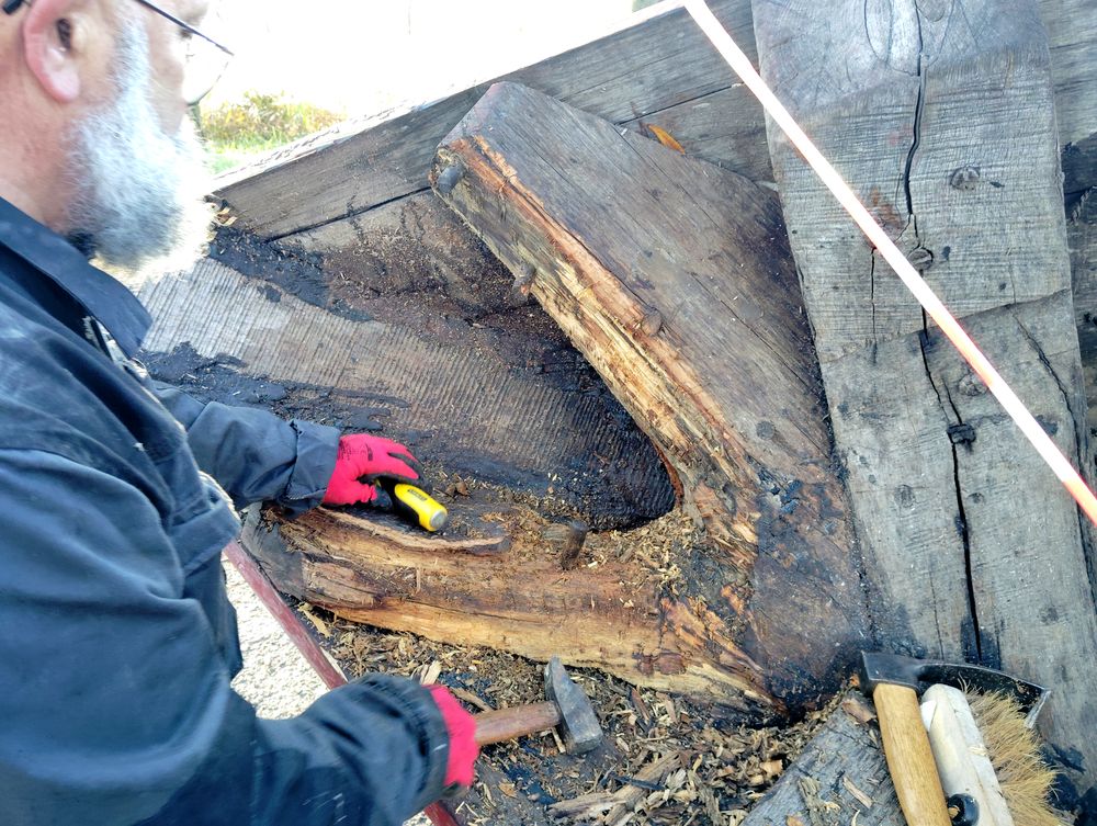 Éradication de vers installés sans complexe dans l'apôtre.