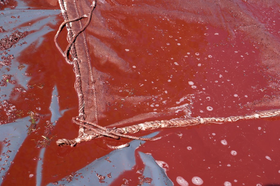 Détail de la voile avec la teinture. On voit les copeux de chêne.  © www.tessier.photos