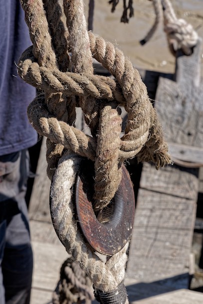 La liaison hauban/apotureau côté apotureau avec un anneau en frêne, ancêtre du cap de mouton. © www.tessier.photos